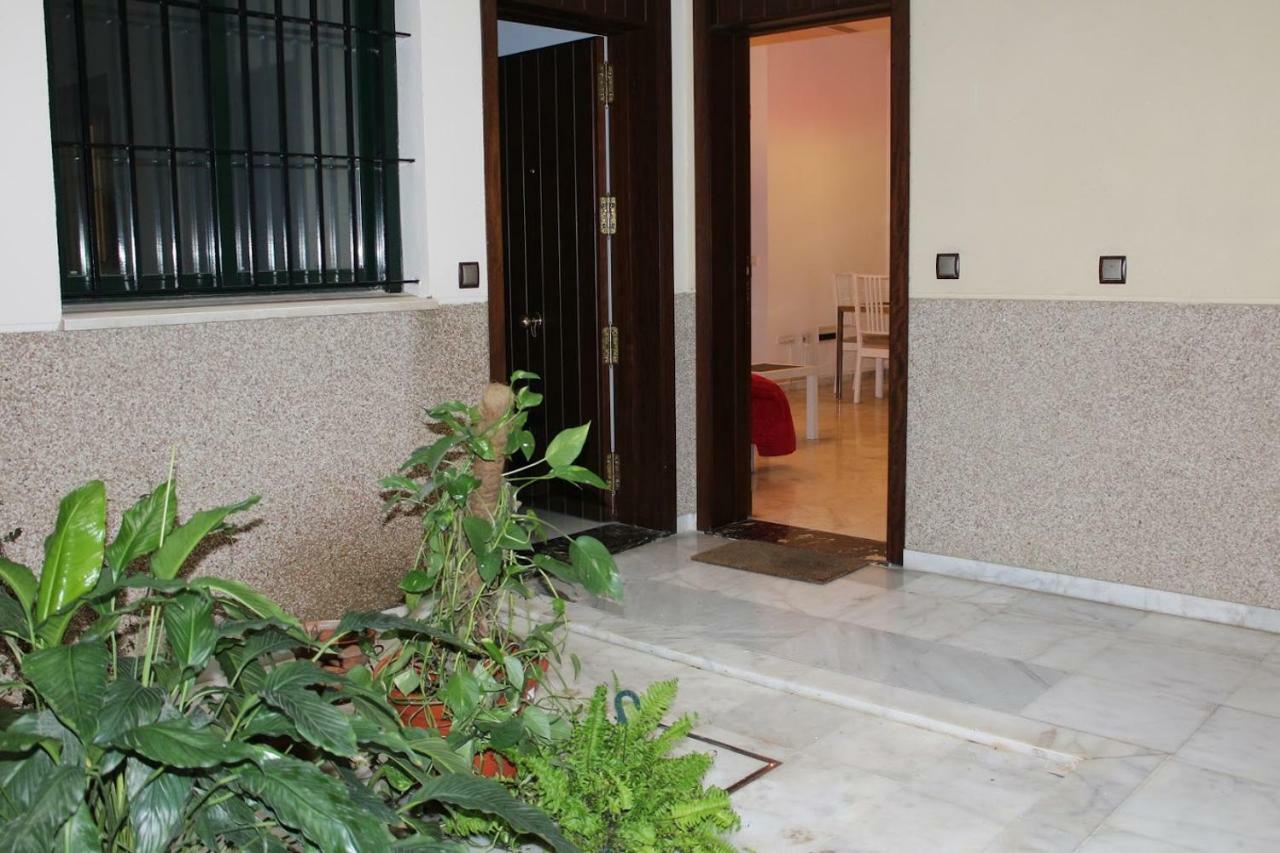 Apartamentos Rg Triana, Calle Castilla Con Patio 塞维利亚 外观 照片